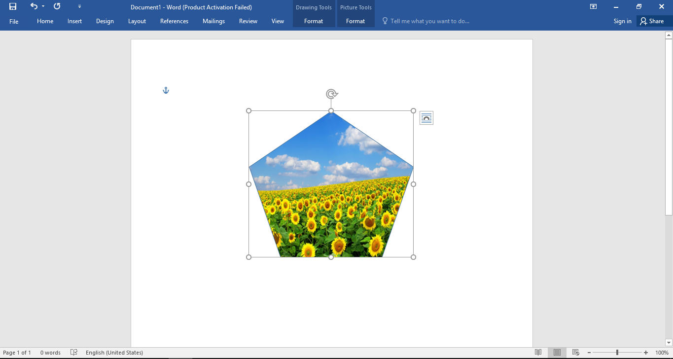 Hình ảnh được chèn vào biểu tượng