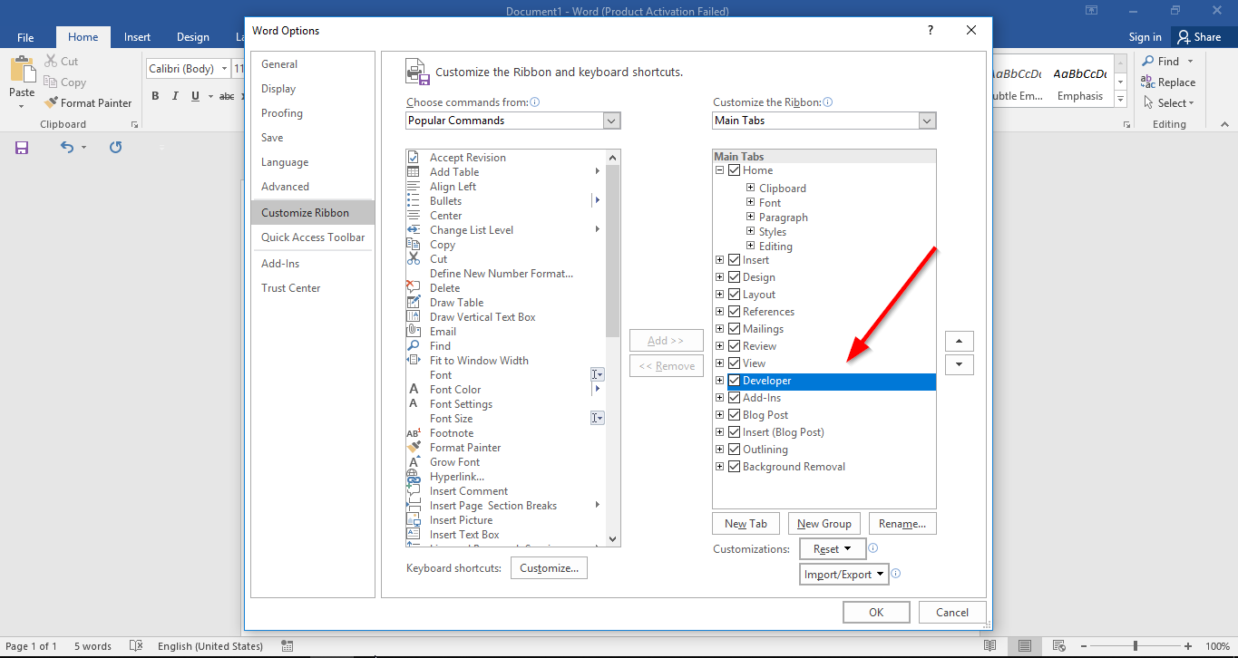 Giao diện tab Developer trong Word