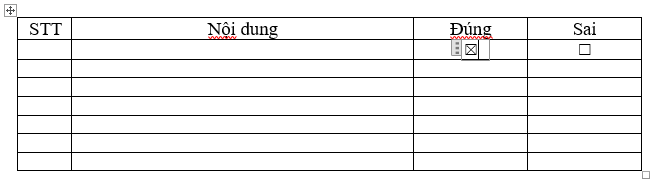 Ví dụ về các ô tick đã được chèn vào văn bản Word