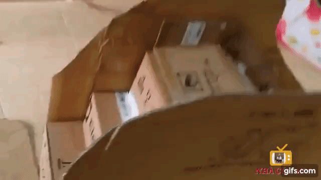 Hình ảnh cầu trượt bằng hộp sữa gần hoàn thiện