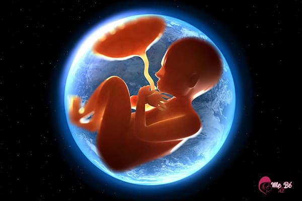 Mang Thai Mấy Tháng Thì Bụng To? Kích thước bụng bầu không phải là tiêu chí đánh giá sự phát triển của thai nhi