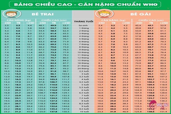 Chế độ dinh dưỡng cho trẻ 2 tuổi
