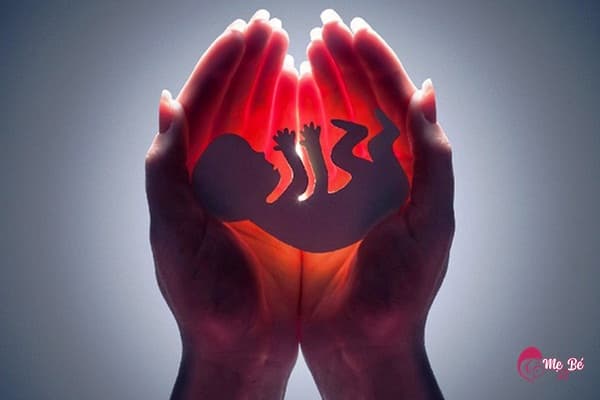 Hình ảnh siêu âm thai 15 tuần