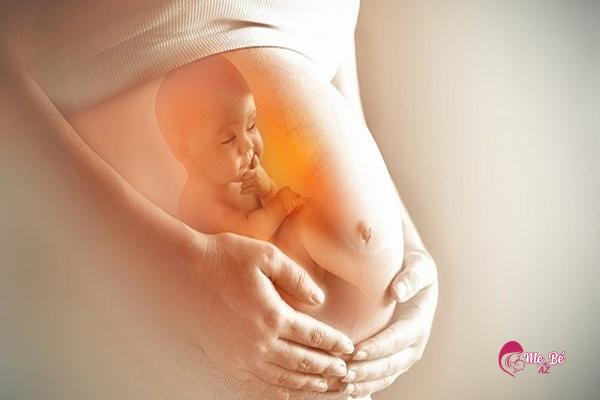 Ngũ Cốc Lợi Sữa Việt Lộc: Có Thực Sự Hiệu Quả?