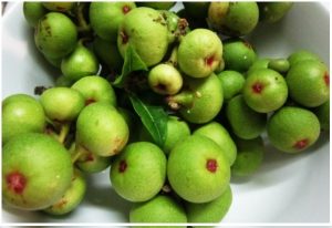 Sau Sinh Ăn Khổ Qua Được Không? Lợi Hay Hại Cho Mẹ Và Bé? Sau Sinh Ăn Khổ Qua Được Không? Lợi Hay Hại Cho Mẹ Và Bé?