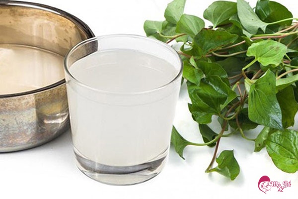 Hạ Sốt Cho Trẻ Sơ Sinh Bằng Rau Diếp Cá: 3 Cách An Toàn & Hiệu Quả Nấu nước rau diếp cá với nước vo gạo