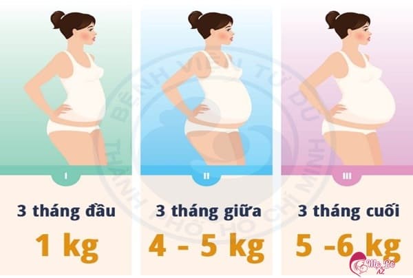 Mang thai 5 tháng và chế độ dinh dưỡng