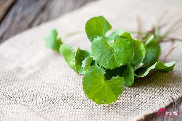 Mẹ nhớ phải rửa thật sạch rau má nhé!