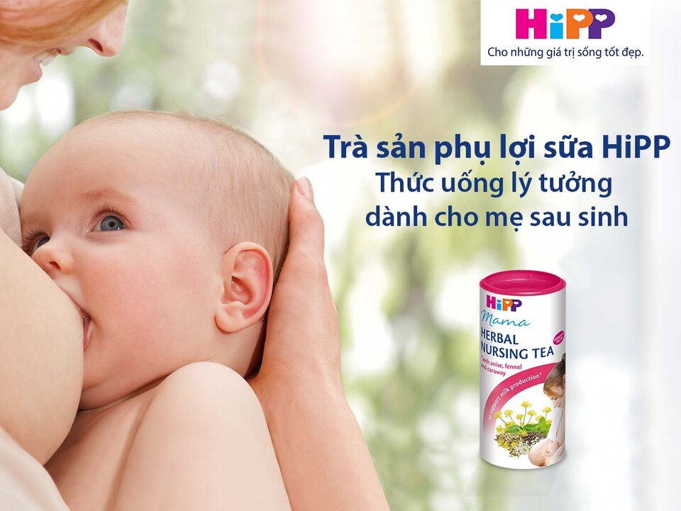Trà Lợi Sữa Hipp: Tốt Không, Giá Bao Nhiêu, Mua Ở Đâu?