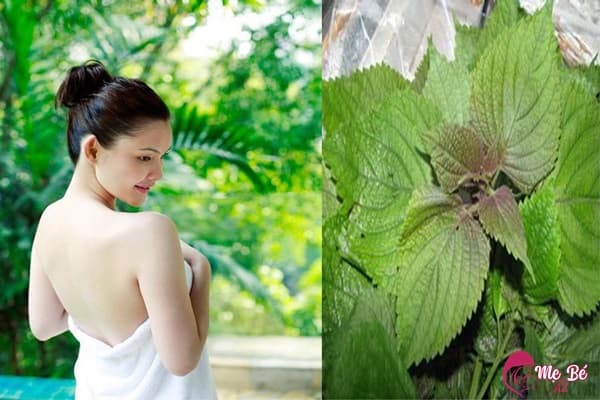 Tắm trắng bằng lá tía tô