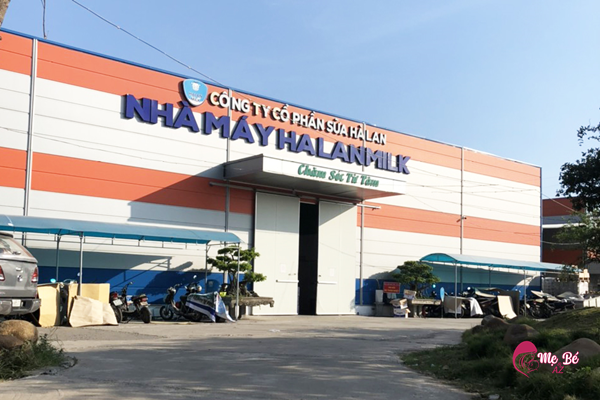 Ngũ Cốc Lợi Sữa Hà Lan Milk: Có Nên Mua Không?