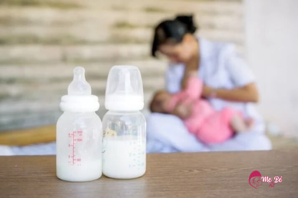 Ngũ Cốc Lợi Sữa Hà Lan Milk: Có Nên Mua Không?