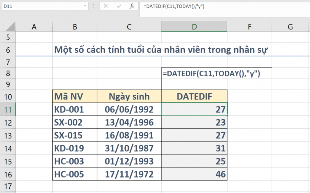 Xác Định Tuổi Nhân Viên Trong Excel: Hướng Dẫn Chi Tiết Ví dụ sử dụng hàm DATEDIF