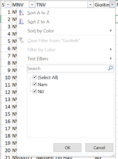 Chọn giá trị Nam trong công cụ lọc dữ liệu