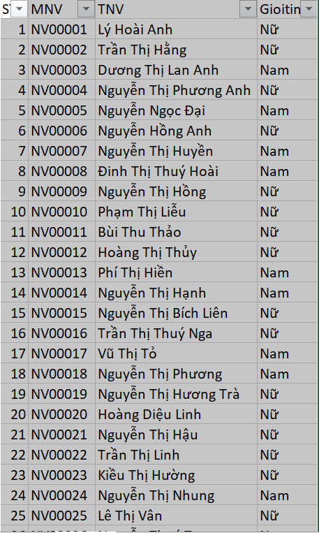 Mô tả công cụ lọc dữ liệu trong Excel