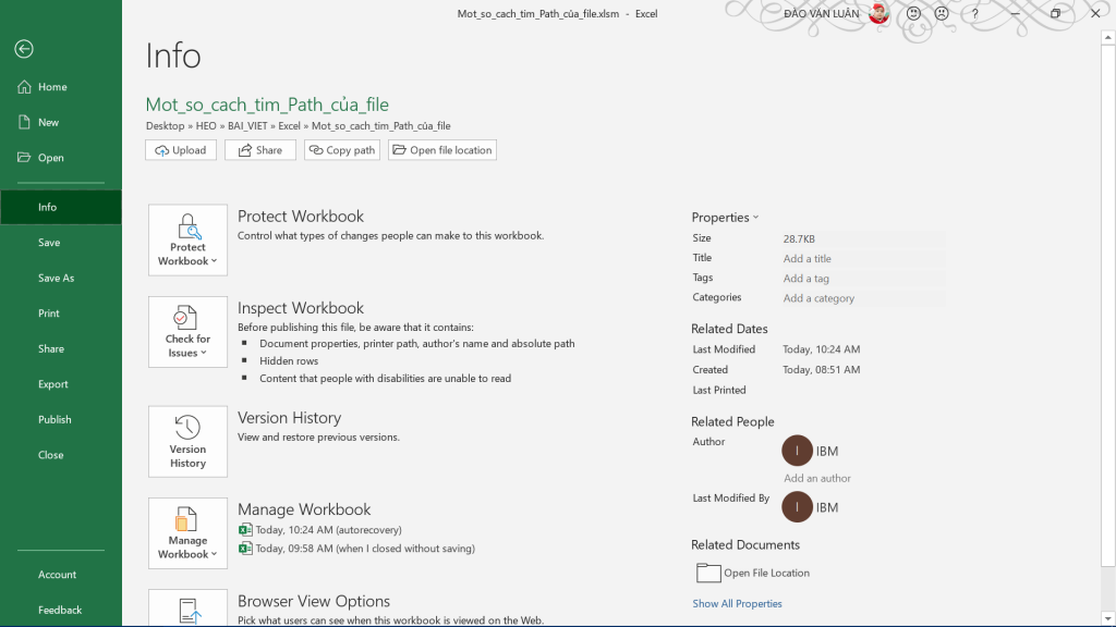 Đường dẫn file Excel trong tab Info
