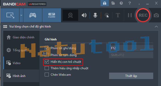 Hiệu ứng chuột