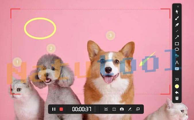 Chèn chú thích văn bản với ApowerREC