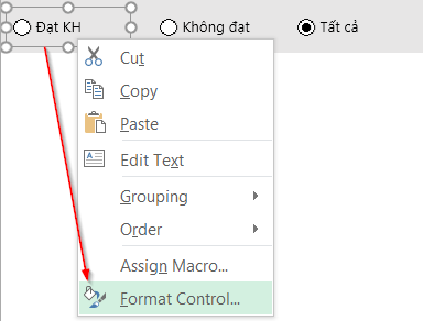 Tùy Chỉnh Biểu Đồ Excel Linh Hoạt với Nút Tùy Chọn (Option Button) Format Control Option Button