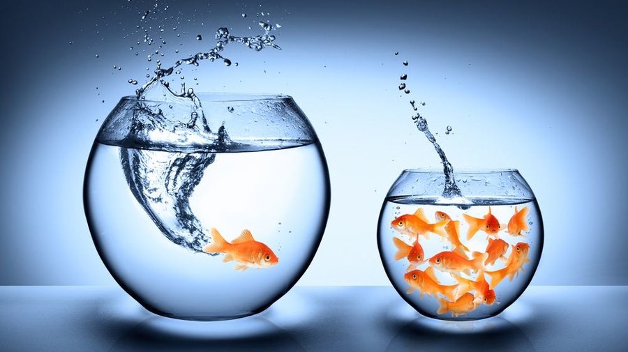 7 Năm Kinh Nghiệm: Xin Việc Công Nghệ Không Khó Như Bạn Nghĩ