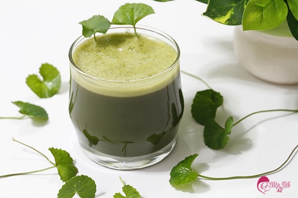 Mẹ sau sinh uống rau má rất tốt cho sức khỏe và cải thiện lượng sữa