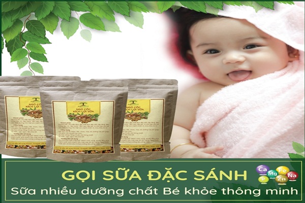 Ngũ Cốc Lợi Sữa Queen Nature: Review Chi Tiết từ A-Z Ngũ Cốc Lợi Sữa Queen Nature: Review Chi Tiết từ A-Z
