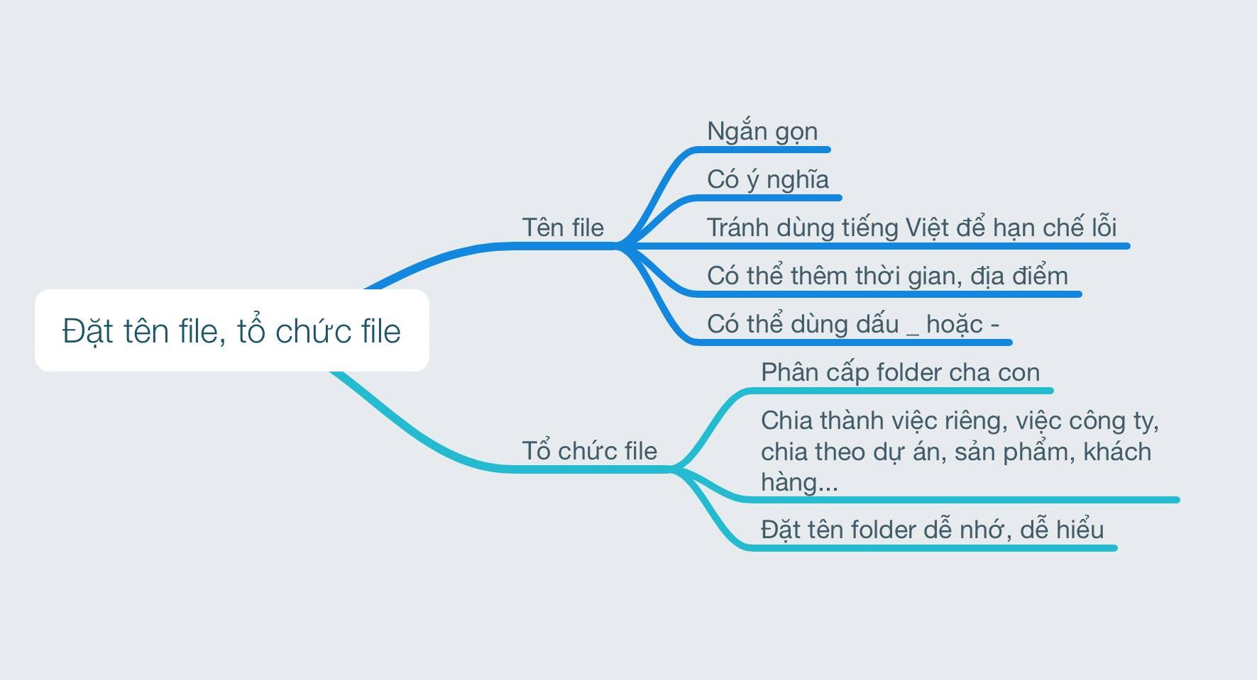 Quy tắc đặt tên và tổ chức file