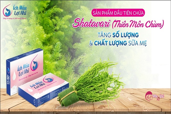 Ích Mẫu Lợi Nhi: Có thực sự hiệu quả cho mẹ sau sinh?