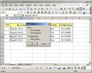 alt text: hộp thoại insert trong excel
