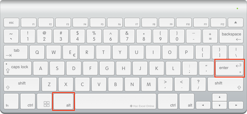 Example of using Alt plus Enter to create a manual line break in an Excel cell
