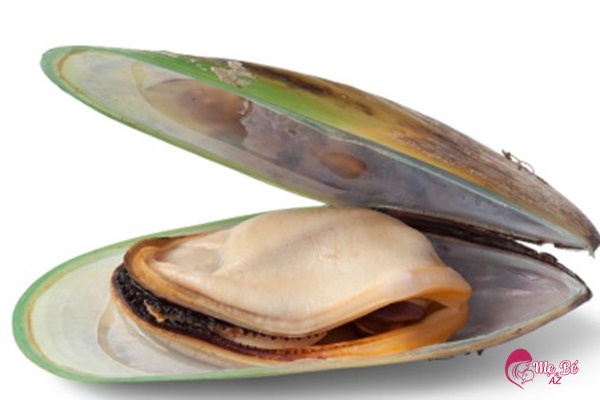 Hải sản hai mảnh rất tốt cho "chuyện ấy" của cả nam và nữ