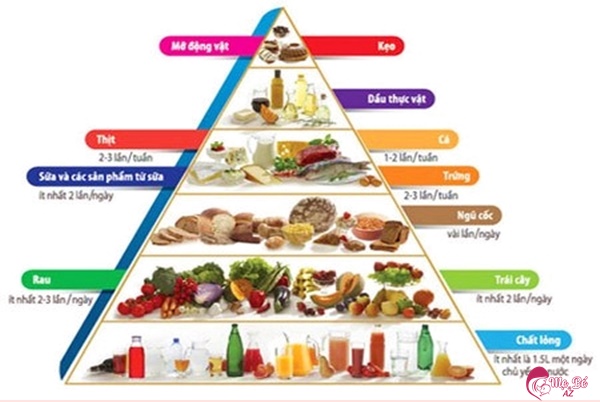Tháp dinh dưỡng cho trẻ 2 tuổi