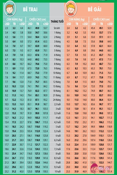 Bé 2 Tuổi Cao Bao Nhiêu cm là Chuẩn? Bí Quyết Phát Triển Chiều Cao Cho Trẻ