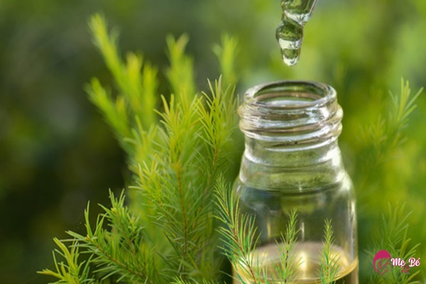 Chỉ nên sử dụng dầu tràm cho bé với lượng nhất định