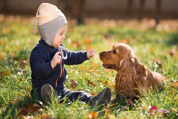 Dạy trẻ học nói nhanh bằng tiếng con vật