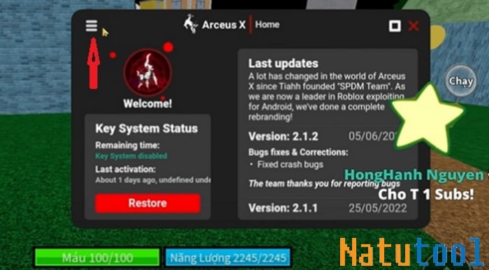 Hướng Dẫn Hack Blox Fruit Trên Điện Thoại Và Máy Tính Mới Nhất 2025 alt text: Mở menu Arceus X