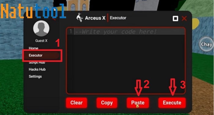 Hướng Dẫn Hack Blox Fruit Trên Điện Thoại Và Máy Tính Mới Nhất 2025 alt text: Dán Script Hack