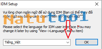 cai-dat-ngon-ngu-idm