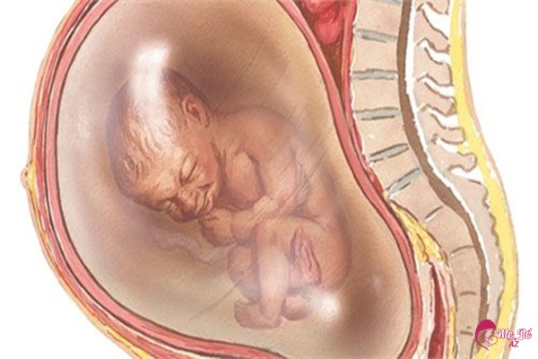 Một người phụ nữ đang mang thai, tay đặt lên bụng với vẻ mặt suy tư