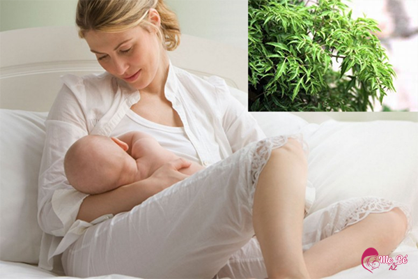 Đánh Giá Cốm Lợi Sữa Curmilk: Có Tốt Như Lời Đồn? Đánh Giá Cốm Lợi Sữa Curmilk: Có Tốt Như Lời Đồn?