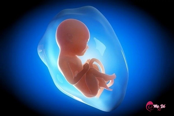 Thai Nhi Có Bị Nấc Trong Bụng Mẹ Không?