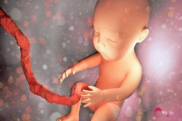 Thai Nhi Có Bị Nấc Trong Bụng Mẹ Không?