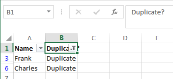 Spreadsheet displaying only the filtered duplicate rows