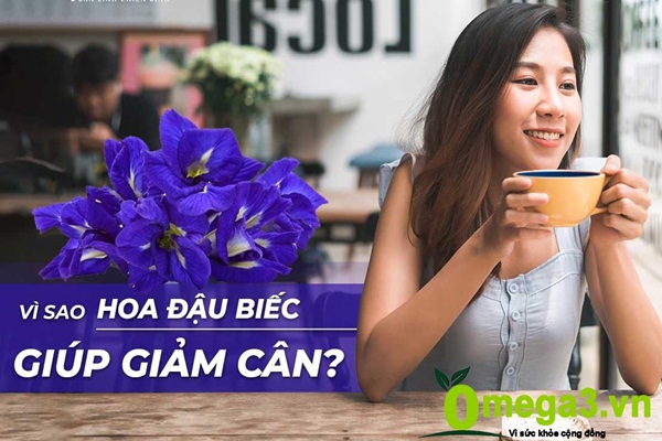 Trà Hoa Đậu Biếc Có Giảm Cân Không? Lợi Ích Và Cách Sử Dụng