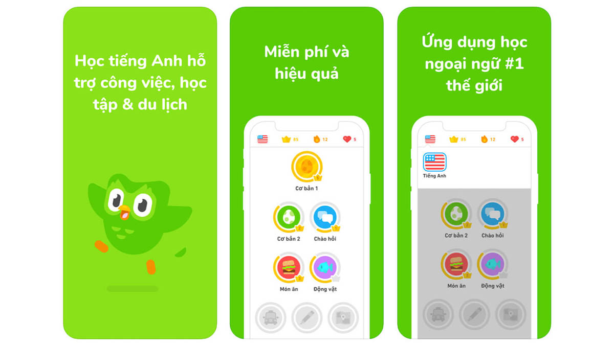 Ứng dụng học từ vựng tiếng Anh - Duolingo