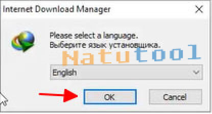 alt text: Chọn ngôn ngữ cài đặt cho IDM Silent