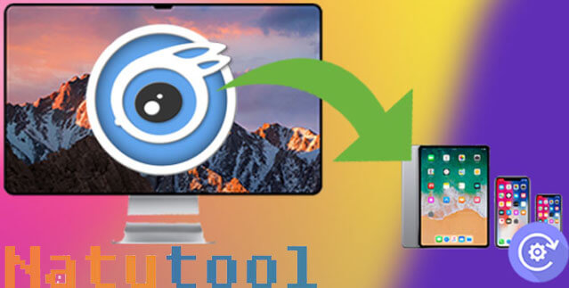 Sao lưu và phục hồi dữ liệu với iTools