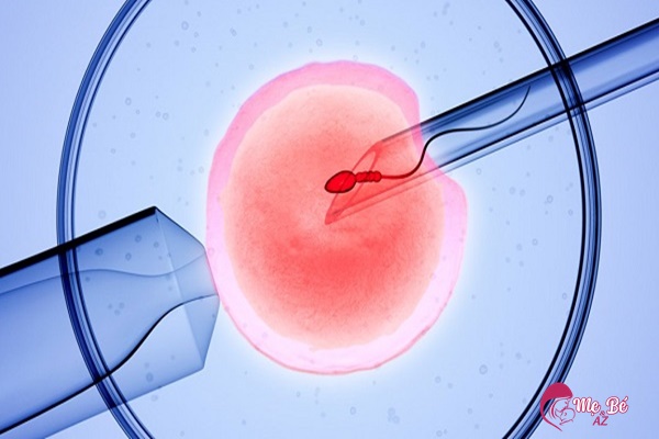 Thụ Tinh Trong Ống Nghiệm (IVF): Hướng Dẫn Chi Tiết Cho Bà Bầu Bà mẹ khỏe, ít tuổi sẽ tăng tỉ lệ thành công IVF