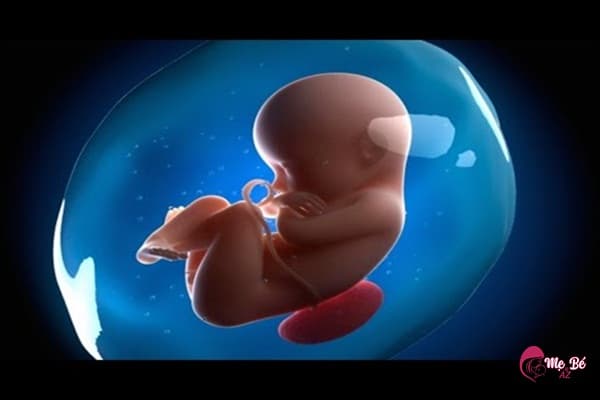 Mang Thai Quá Ngày Dự Sinh: Những Điều Mẹ Bầu Cần Biết Thai nhi có thể bị chết lưu nếu mẹ mang thai quá ngày dự sinh quá lâu