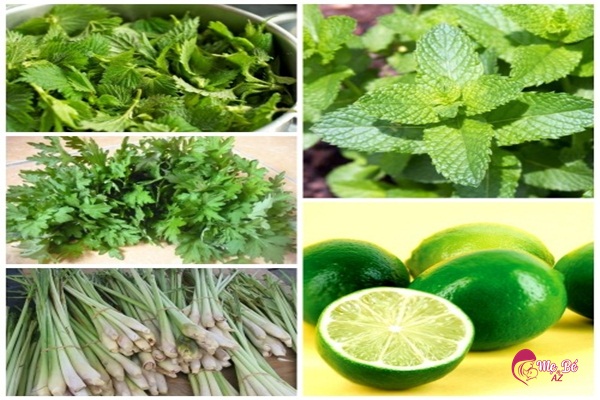 Xông Tắm Sau Sinh: Lợi Ích và Hướng Dẫn Chi Tiết Cho Mẹ Xông Tắm Sau Sinh: Lợi Ích và Hướng Dẫn Chi Tiết Cho Mẹ